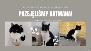 Read more about the article NAFCIARZE POTRZEBUJĄ SUPERBOHATERA! PRZEJĘLIŚMY BATMANA!