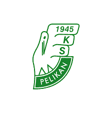 Read more about the article Pelikan Łowicz
